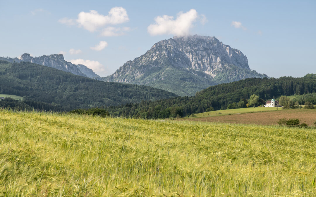 Traunsteinblick